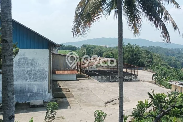 Gudang Disewakan Kawasan Bogor Barat, Luas 6200m2m², Area Strategis Gudang Disewakan Kawasan Bogor Barat, Luas 6200m2m², Area Strategis