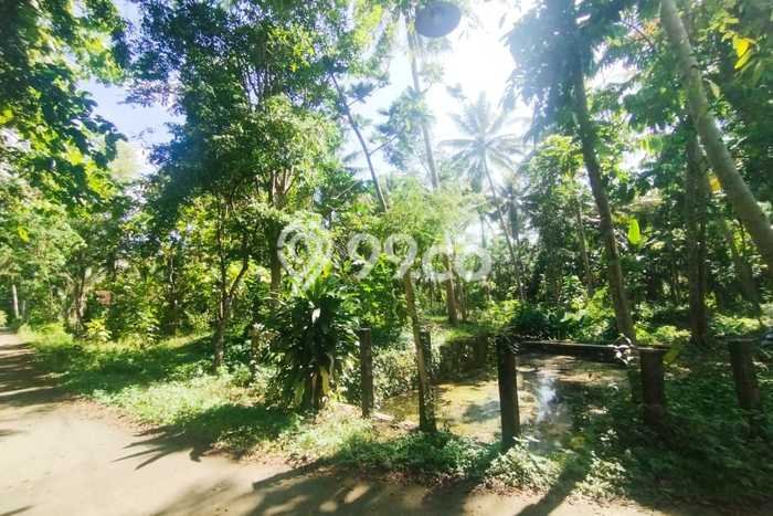 Dijual Tanah Lokasi Kulonprogo, Yogyakarta Seluas 1662m2 Dijual Tanah Lokasi Kulonprogo, Yogyakarta Seluas 1662m2