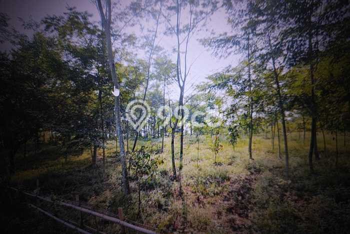 Tanah di Leuwisadeng, Bogor Luas 100000m2 Dijual Segera Tanah di Leuwisadeng, Bogor Luas 100000m2 Dijual Segera