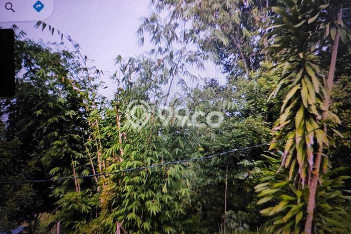 Tanah di Leuwisadeng, Bogor Luas 100000m2 Dijual Segera Tanah di Leuwisadeng, Bogor Luas 100000m2 Dijual Segera