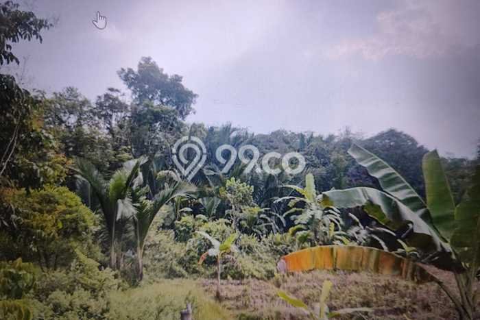 Tanah di Leuwisadeng, Bogor Luas 100000m2 Dijual Segera Tanah di Leuwisadeng, Bogor Luas 100000m2 Dijual Segera
