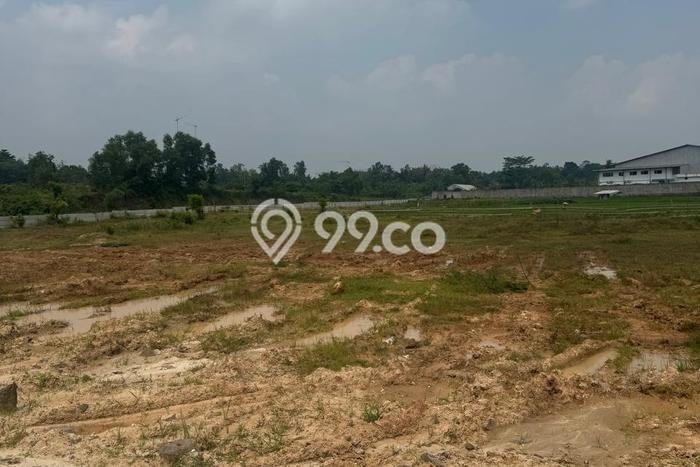 Tanah Dijual Lokasi Jawilan, Serang Luas 4e+06m2 Legalitas Aman Tanah Dijual Lokasi Jawilan, Serang Luas 4e+06m2 Legalitas Aman