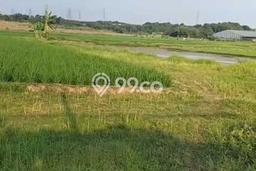 Tanah untuk Dijual di Karawang Barat Karawang Luas 120000m2 Tanah untuk Dijual di Karawang Barat Karawang Luas 120000m2