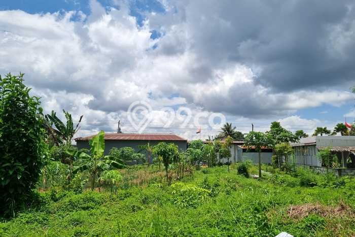 Tanah Luas Di Magelang Dekat AKMIL Siap Jadi Investasi Tanah Luas Di Magelang Dekat AKMIL Siap Jadi Investasi