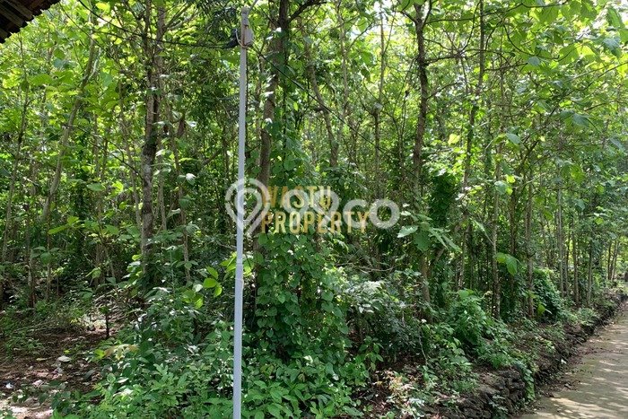 LOKASI STRATEGIS! Tanah Kawasan Pajangan, Luas 850m², Kawasan Berkembang, Cocok untuk Hunian LOKASI STRATEGIS! Tanah Kawasan Pajangan, Luas 850m², Kawasan Berkembang, Cocok untuk Hunian