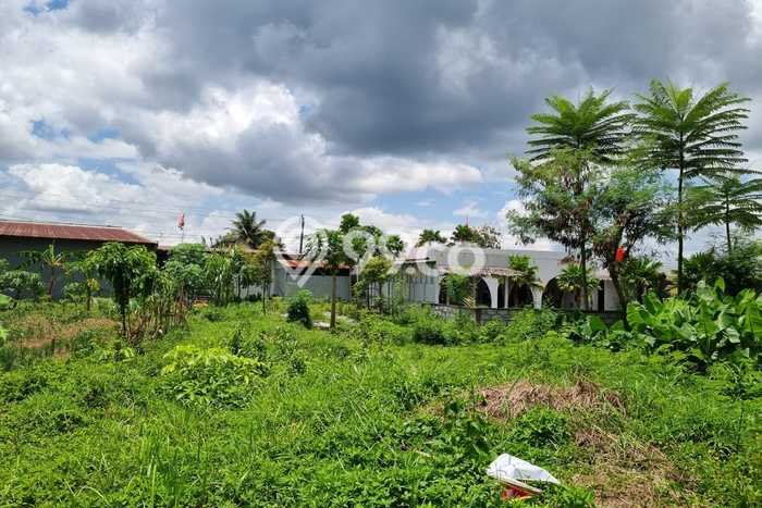 Tanah Luas Di Magelang Dekat AKMIL Siap Jadi Investasi Tanah Luas Di Magelang Dekat AKMIL Siap Jadi Investasi
