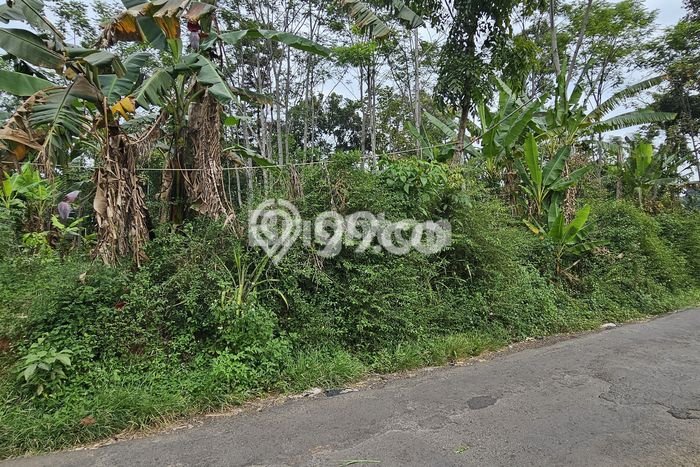 Lahan untuk Dijual di Bergas Semarang Luas 570m2 Lahan untuk Dijual di Bergas Semarang Luas 570m2