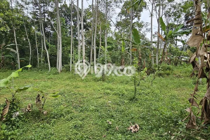 Lahan untuk Dijual di Bergas Semarang Luas 570m2 Lahan untuk Dijual di Bergas Semarang Luas 570m2