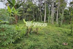 Lahan untuk Dijual di Bergas Semarang Luas 570m2 Lahan untuk Dijual di Bergas Semarang Luas 570m2