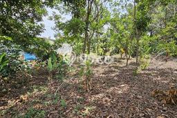 Tanah Dijual Lokasi Ngaliyan, Semarang Luas 3867m2 Legalitas Aman Tanah Dijual Lokasi Ngaliyan, Semarang Luas 3867m2 Legalitas Aman