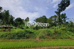 Kavling Tanah di Mijen Dijual Luas 5040m2 Legalitas SHM Kavling Tanah di Mijen Dijual Luas 5040m2 Legalitas SHM