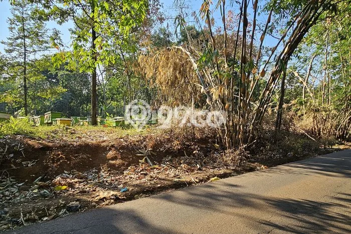 Tanah di Ungaran Timur, Semarang Luas 2099m2 Dijual Segera Tanah di Ungaran Timur, Semarang Luas 2099m2 Dijual Segera