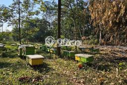 Kavling Tanah Dijual di Ungaran Timur Semarang Spesifikasi 2099m2 Kavling Tanah Dijual di Ungaran Timur Semarang Spesifikasi 2099m2