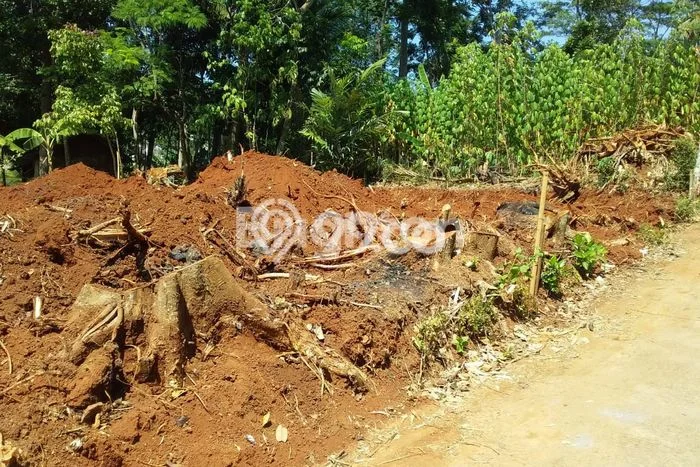 Lahan Dijual Lokasi Ungaran Timur, Semarang dengan Luas Tanah 74m2 dan Status SHM Lahan Dijual Lokasi Ungaran Timur, Semarang dengan Luas Tanah 74m2 dan Status SHM