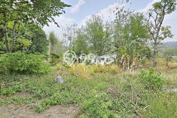 Tanah Di Bawah Harga Njop, 500 Meter Ke Fak.ekonomi Undip Tanah Di Bawah Harga Njop, 500 Meter Ke Fak.ekonomi Undip