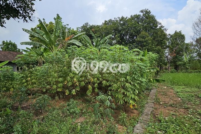 Tanah Kosong Dijual di Semarang dengan Area 276m2 Tanah Kosong Dijual di Semarang dengan Area 276m2