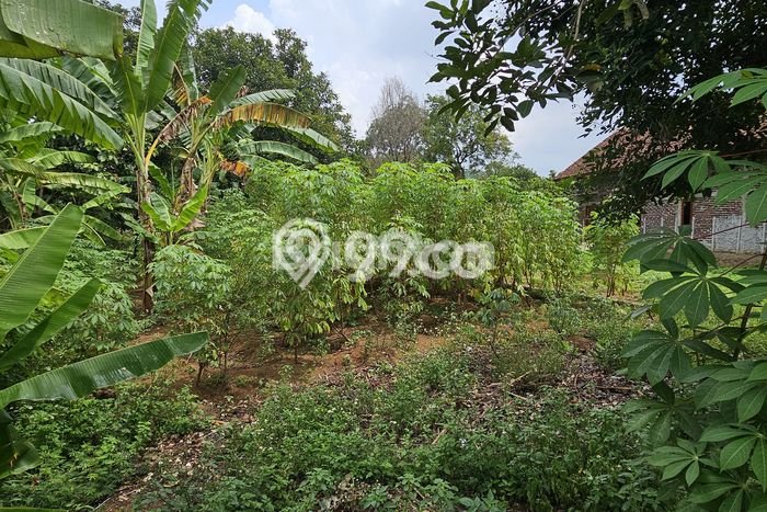 Tanah Kosong Dijual di Semarang dengan Area 276m2 Tanah Kosong Dijual di Semarang dengan Area 276m2