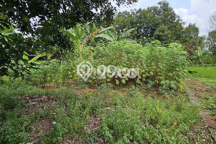 Tanah Kosong Dijual di Semarang dengan Area 276m2 Tanah Kosong Dijual di Semarang dengan Area 276m2