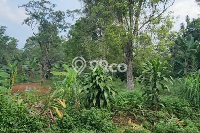 Lahan untuk Dijual di Ungaran Barat Semarang Luas 25950m2 Lahan untuk Dijual di Ungaran Barat Semarang Luas 25950m2