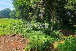 Tanah di Ungaran Timur, Semarang Luas 1737m2 Dijual Segera Tanah di Ungaran Timur, Semarang Luas 1737m2 Dijual Segera