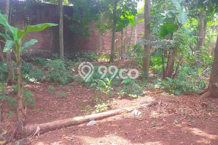 Kavling Tanah Dijual di Gunung Pati, Semarang, Luas 363m2 Area Strategis Kavling Tanah Dijual di Gunung Pati, Semarang, Luas 363m2 Area Strategis