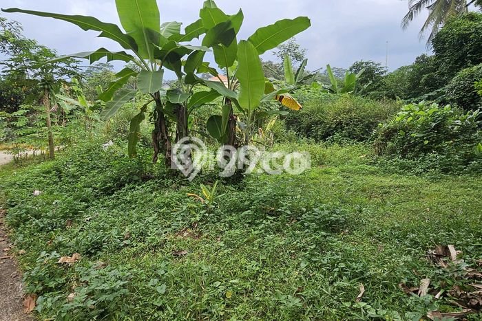 Tanah Dijual Lokasi Ungaran Timur Semarang SHM Tanah Dijual Lokasi Ungaran Timur Semarang SHM