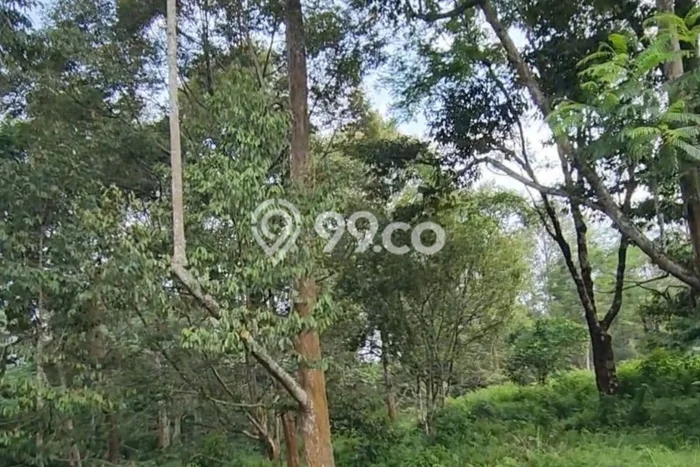 Lahan untuk Dijual di Ungaran Barat Semarang Luas 25950m2 Lahan untuk Dijual di Ungaran Barat Semarang Luas 25950m2