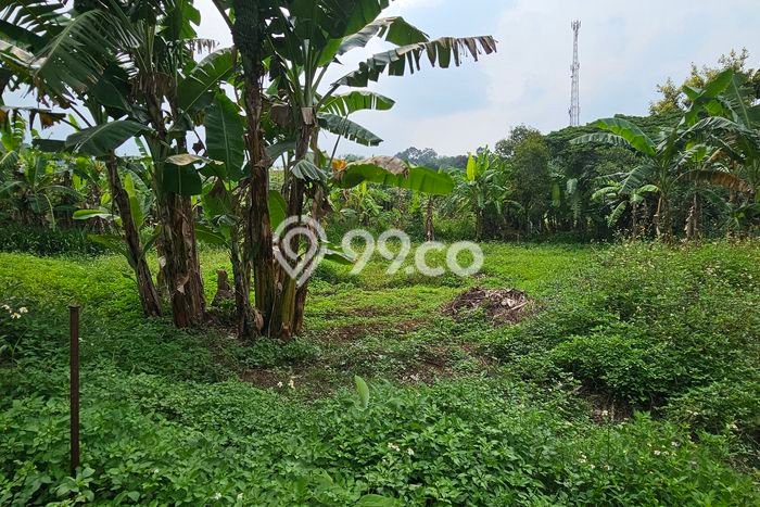 Jarang Ada! Tanah di Ungaran Barat Punya Luas 350m2 SHM Jarang Ada! Tanah di Ungaran Barat Punya Luas 350m2 SHM