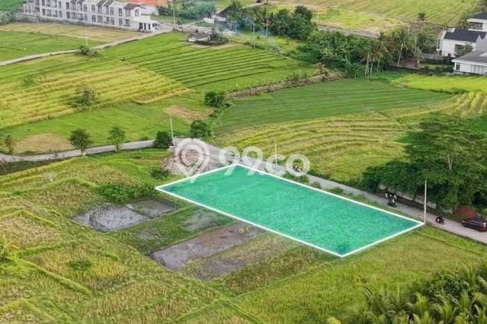 Tanah Dijual Area Strategis di Beraban Tabanan 870m2 Tanah Dijual Area Strategis di Beraban Tabanan 870m2
