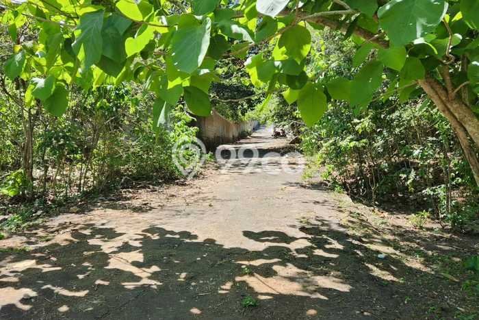 Tanah Dijual Area Strategis di Pecatu Badung 5000m2 Tanah Dijual Area Strategis di Pecatu Badung 5000m2