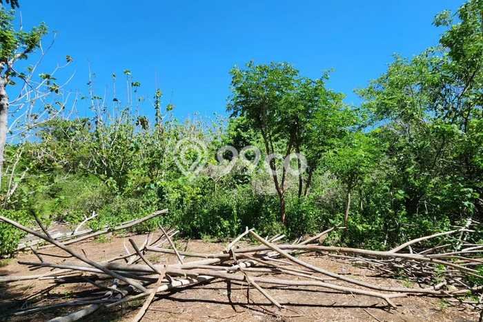 Tanah Dijual Area Strategis di Pecatu Badung 5000m2 Tanah Dijual Area Strategis di Pecatu Badung 5000m2