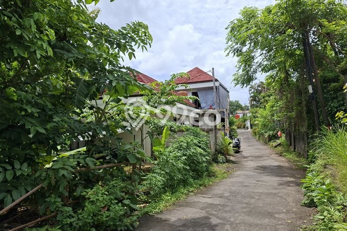 Tanah Kavling Dijual di Badung dengan Spesifikasi 2000m2 Tanah Kavling Dijual di Badung dengan Spesifikasi 2000m2