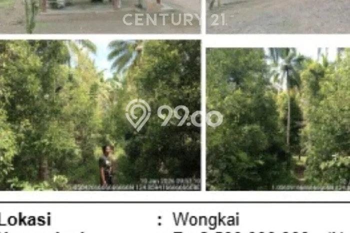 Tanah Strategis Dijual di Ratahan Minahasa Tenggara 220000m2 Tanah Strategis Dijual di Ratahan Minahasa Tenggara 220000m2