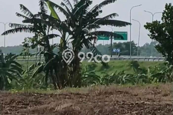 Untuk Dijual Tanah di Kedamean Gresik Luas 35000m2 SHM Untuk Dijual Tanah di Kedamean Gresik Luas 35000m2 SHM