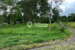 Tanah Kavling untuk Dijual di Sleman Sleman 1179m2 Tanah Kavling untuk Dijual di Sleman Sleman 1179m2