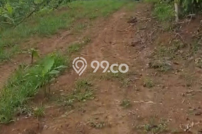 Kavling Tanah Dijual di Pandeglang, Pandeglang, Luas 100000m2 Area Strategis Kavling Tanah Dijual di Pandeglang, Pandeglang, Luas 100000m2 Area Strategis