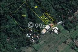 Tanah Dijual Area Strategis di Klungkung Badung 30000m2 Tanah Dijual Area Strategis di Klungkung Badung 30000m2