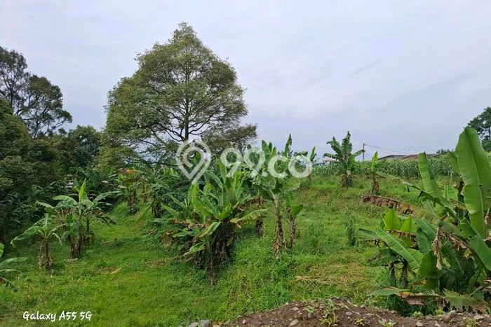 Tanah Kosong Dijual di Sukabumi dengan Area 1800m2 Tanah Kosong Dijual di Sukabumi dengan Area 1800m2