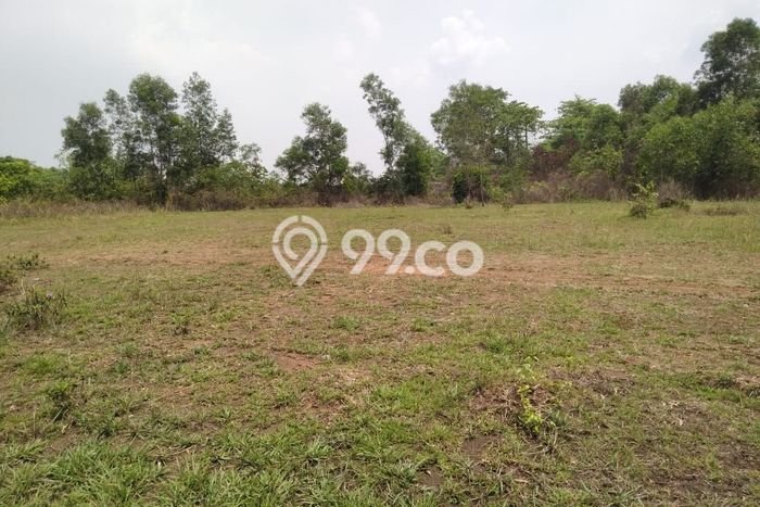 Tanah Dijual Lokasi Tigaraksa, Tangerang dengan Luas Tanah 1988m2 dan Status SHM Tanah Dijual Lokasi Tigaraksa, Tangerang dengan Luas Tanah 1988m2 dan Status SHM