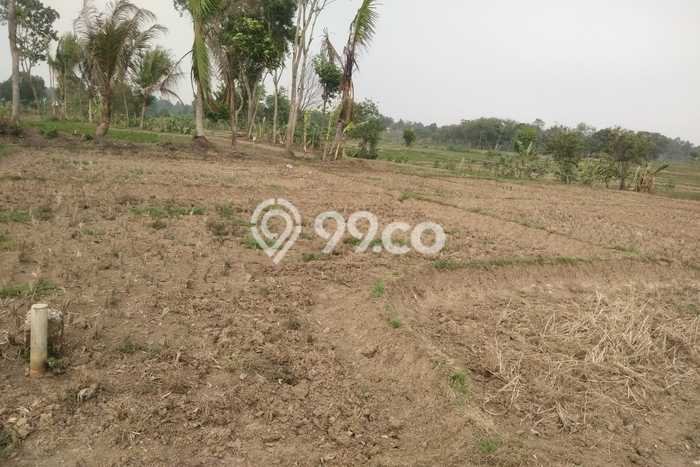 Lahan Strategis di Solear Dijual dengan Luas 1485m2 Lahan Strategis di Solear Dijual dengan Luas 1485m2