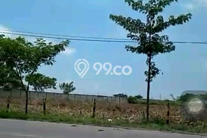 Tanah di Widang, Tuban Luas 40000m2 Dijual Segera Tanah di Widang, Tuban Luas 40000m2 Dijual Segera