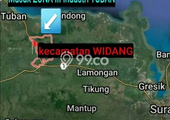 Tanah di Widang, Tuban Luas 40000m2 Dijual Segera Tanah di Widang, Tuban Luas 40000m2 Dijual Segera