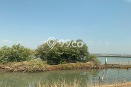 Untuk Dijual Tanah 20700m2 di Kendal, Kendal Untuk Dijual Tanah 20700m2 di Kendal, Kendal