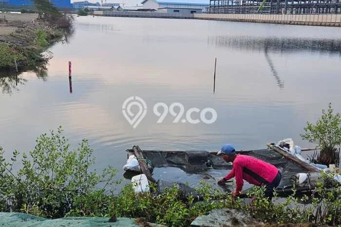 Tanah di Kaliwungu, Kendal Luas 41300m2 Dijual Segera Tanah di Kaliwungu, Kendal Luas 41300m2 Dijual Segera