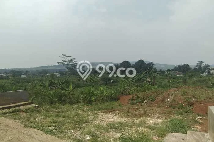 Tanah Kavling untuk Dijual di Babakan Madang Bogor 62000m2 Tanah Kavling untuk Dijual di Babakan Madang Bogor 62000m2