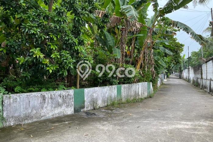 Untuk Dijual Tanah di Bantul Bantul Luas 79m2 SHM Untuk Dijual Tanah di Bantul Bantul Luas 79m2 SHM