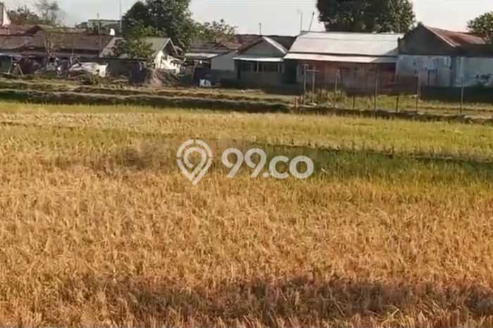 Untuk Dijual Tanah di Cicalengka Bandung Luas 2210m2 SHM Untuk Dijual Tanah di Cicalengka Bandung Luas 2210m2 SHM