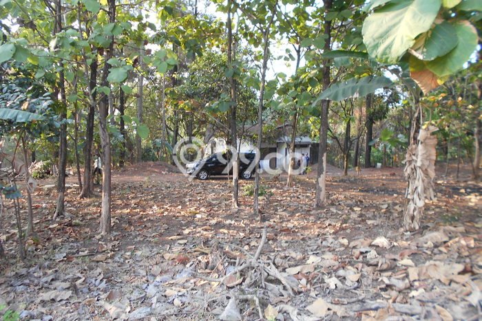 Dijual Tanah di Subang, Luas 24337m2 SHM Dijual Tanah di Subang, Luas 24337m2 SHM