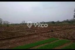 Untuk Dijual Tanah di Majalengka, Luas 20000m2 SHM Untuk Dijual Tanah di Majalengka, Luas 20000m2 SHM