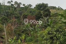 Tanah Kavling Dijual di Bandung dengan Spesifikasi 10000m2 Tanah Kavling Dijual di Bandung dengan Spesifikasi 10000m2